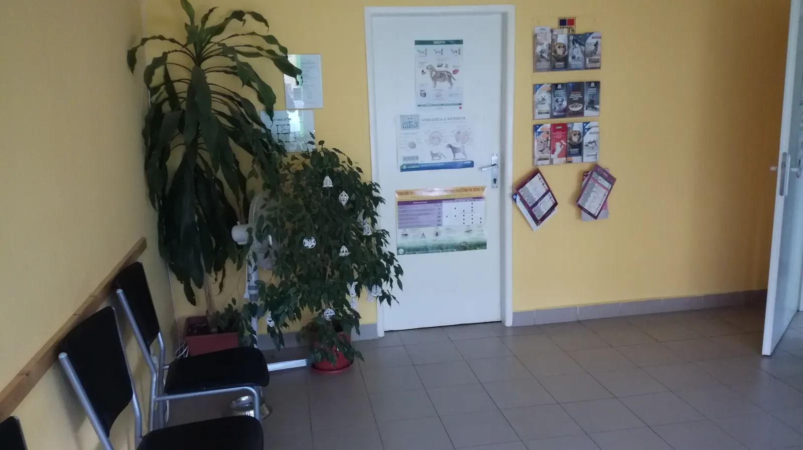 Čakáreň so stoličkami a kvetmi